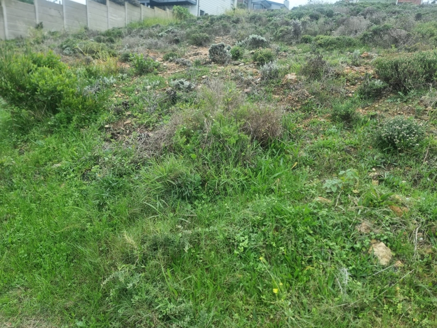 0 Bedroom Property for Sale in Dana Bay Western Cape